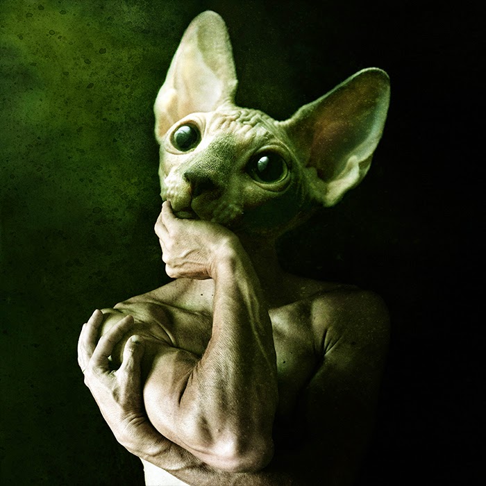 Design Stack A Blog about Art, Design and Architecture ManAnimal