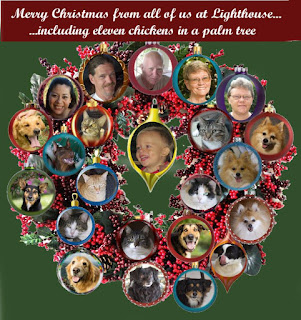 Christmas Miracle At Lighthouse