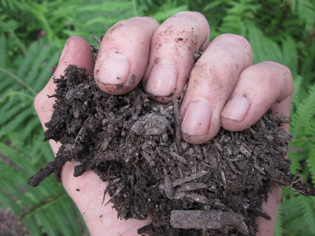 Dirt Under Fingernails