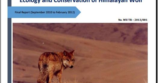 Ecology And Conservation Of Himalayan Wolf: Report