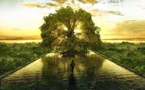 Le Douaire Ile De Vivre Tout Savoir Sur La Spiree Genre