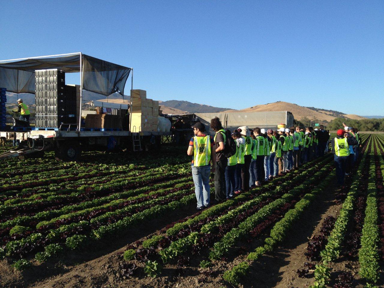 Postharvest Produce Program California Agriculture News Today