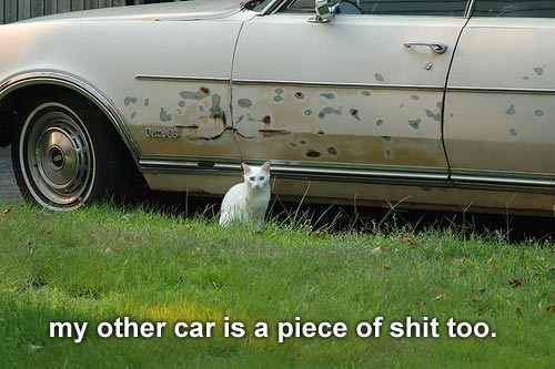 neighborcat_hoopty_car.jpg