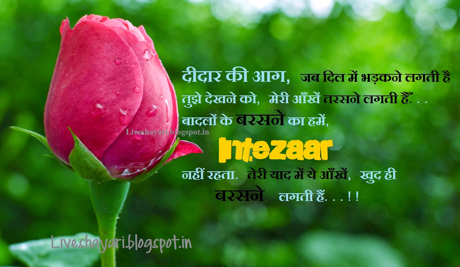 Shayari New Shayari