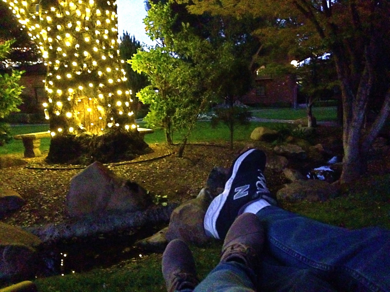 Knitionary licorice for baby