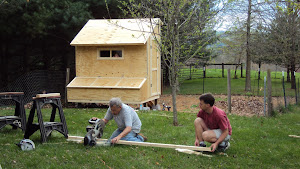 The Chicken Condo