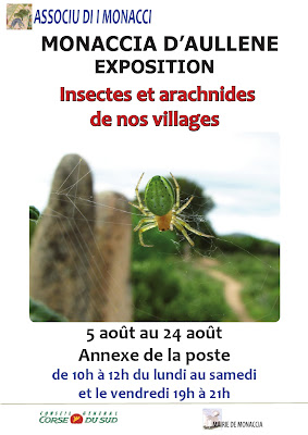 exposition 'Insectes et arachnides de nos villages' par Associu d'i Monacci à Monacia d'Aullène en Corse du Sud