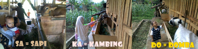 SOCIAL ENTREPRENEURSHIP @PeternakanSaKaDo, Perintisan Pemberdayaan Masyarakat Desa dengan Beternak