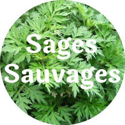 Sages Sauvages