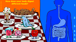 http://interactivehuman.blogspot.com.es/2008/05/digestion-interactive-game-for-kids.html