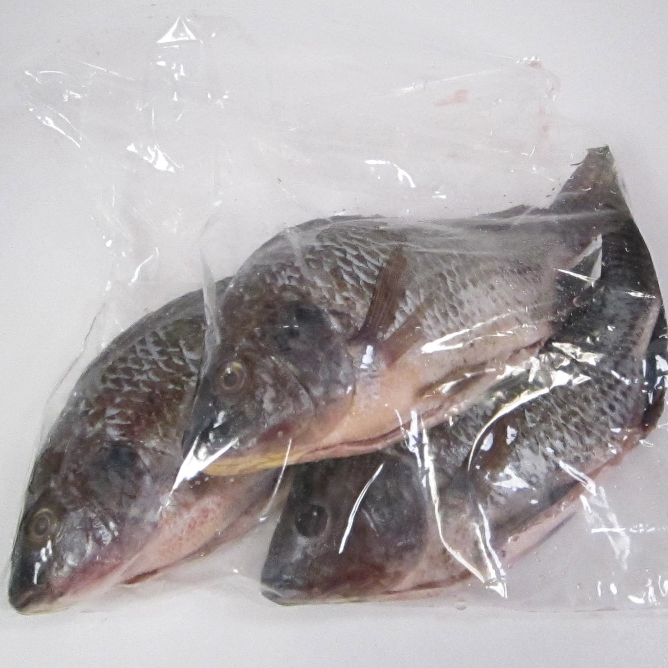 My Kitchen and I The Feast of the Free Fishes