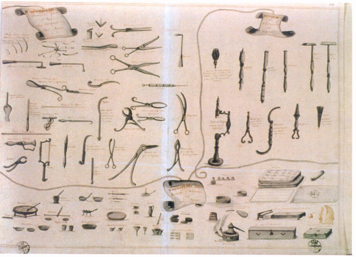 ANATOMÍA LA ANATOMÍA EN EL RENACIMIENTO