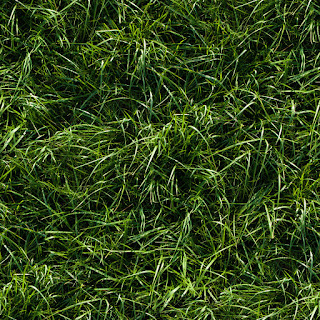 Seamless+long+green+grass+ground+texture.jpg