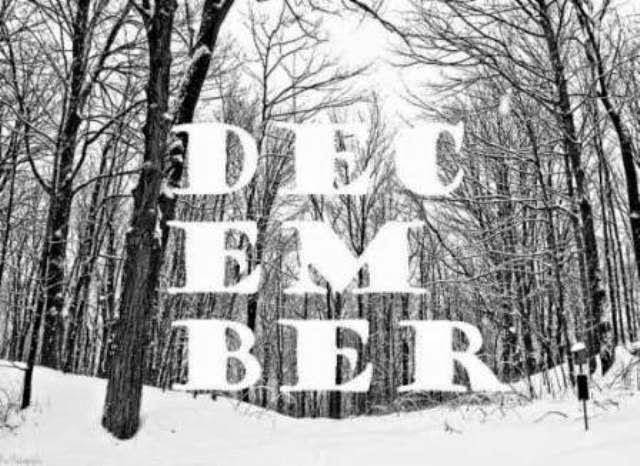 the daily bird New England: New England woodpeckers and laughers