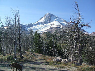 Mt Hood