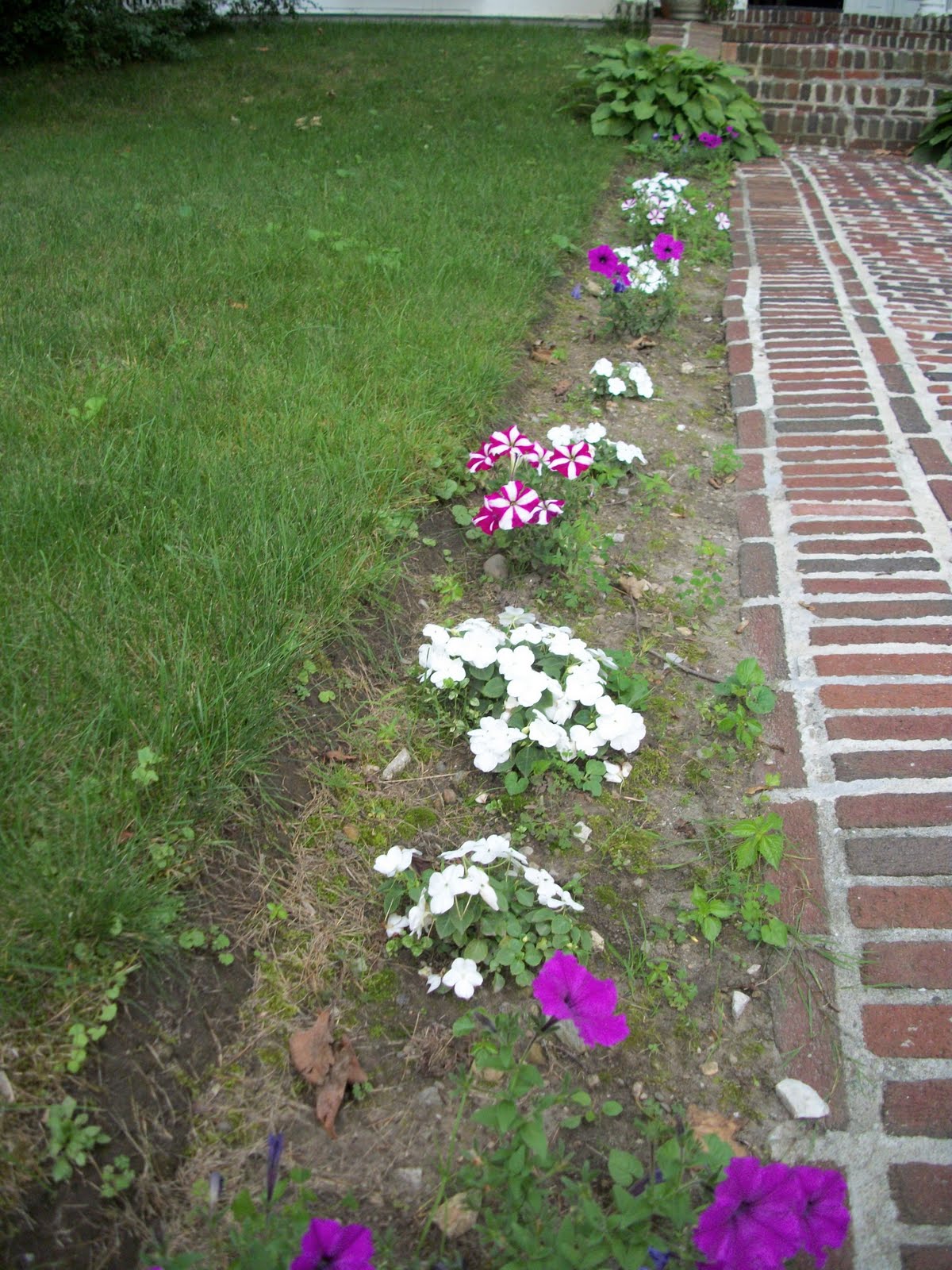 Writing Straight From The Heart Front Yard Flowers Explode with Color