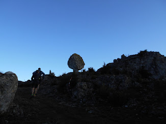 Hivernale des Templiers 2019. Marathon de l'Orchis