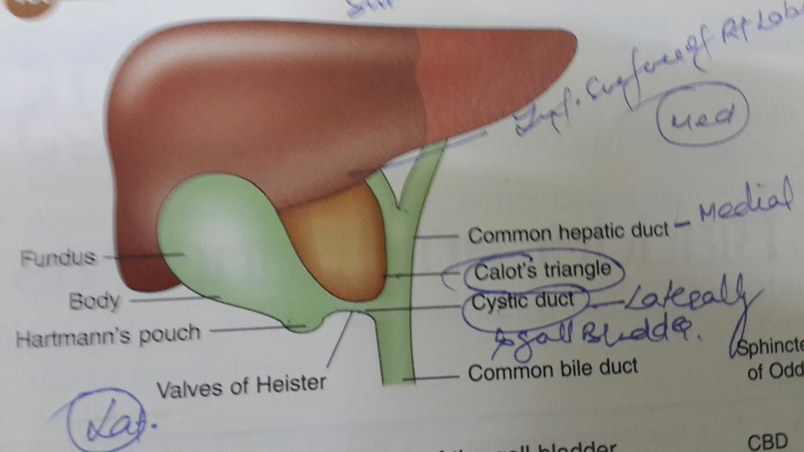 Know more, do more, have more, give more and BE MORE Some links