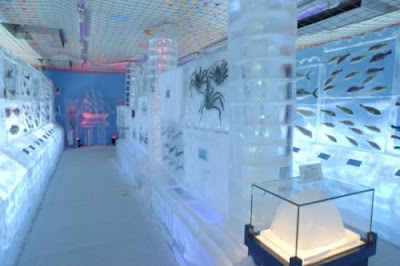 http://www.terungkap.net/2012/02/aquarium-beku-yang-menakjubkan-di-cina.html