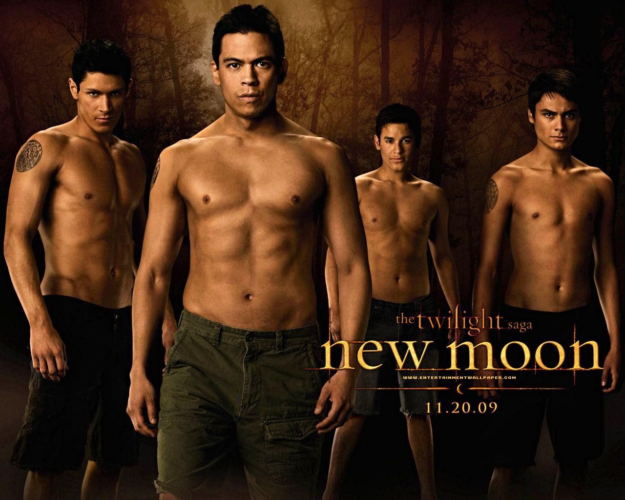 The Twilight Saga: New Moon movie