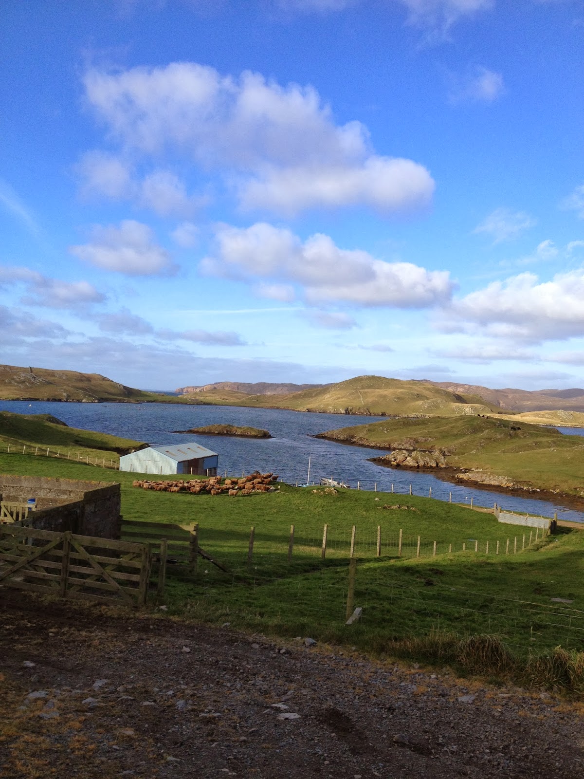 RAMSAY FARMS Photos from Vementry Estate Shetland Day 1.