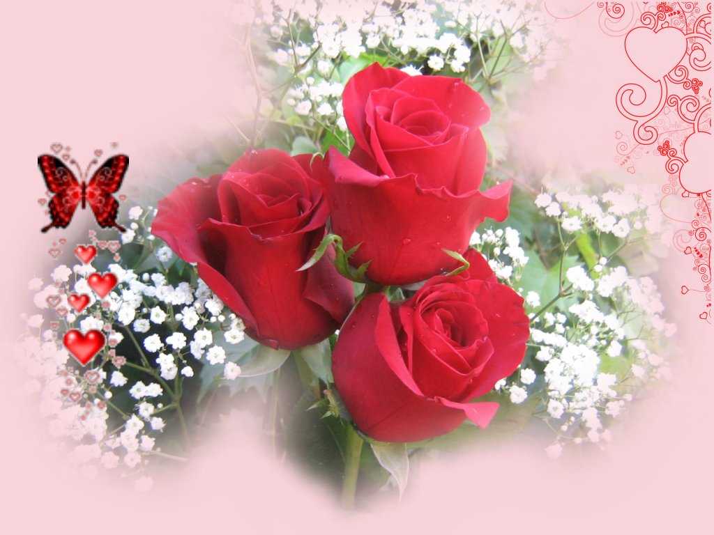 http://2.bp.blogspot.com/-Kt03adGDBNk/UL7_8eYq2MI/AAAAAAACcds/F8f3DhfLBBU/s1600/Magazines-24+(9).jpg