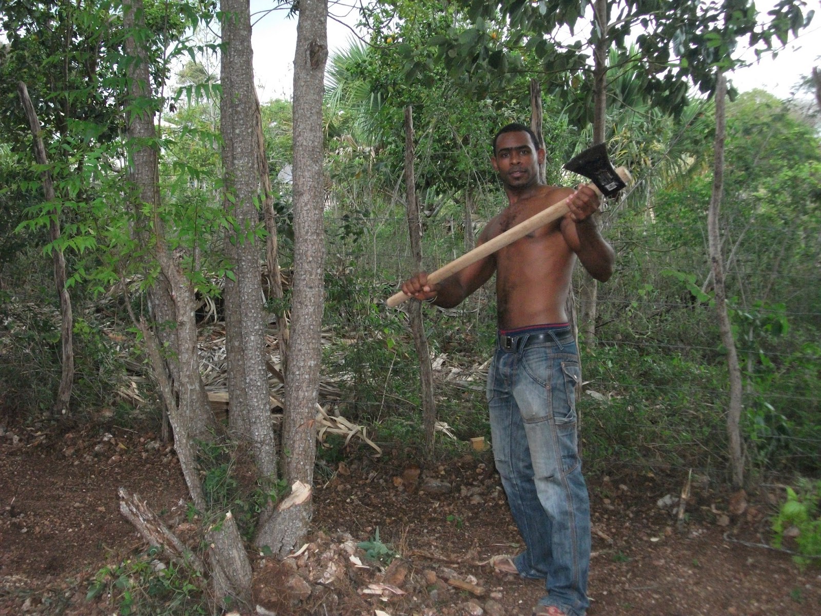 What About Your Saucepans Neem Trees And Good News