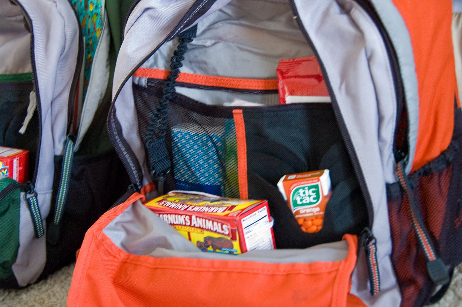 Jengerbread Creations Trip Fun Binders