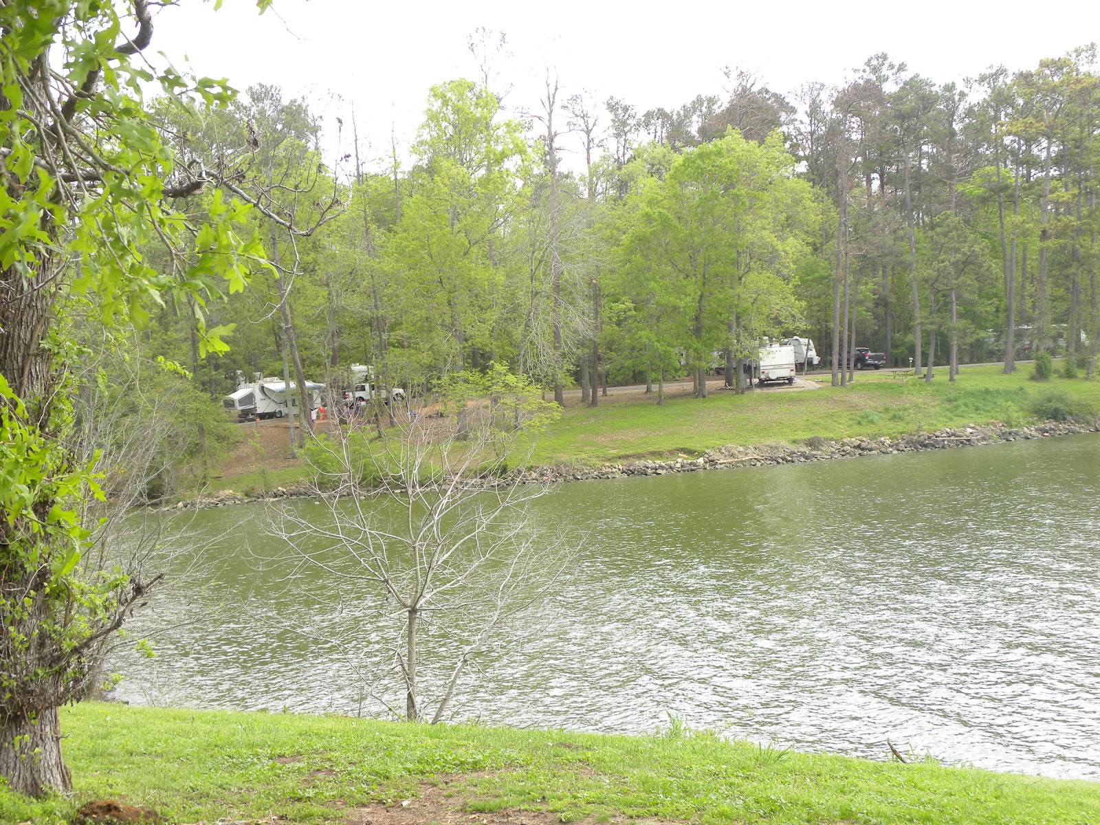 Looking Out the Rear Window Lake Livingston, Lake Tawakoni and East Texas