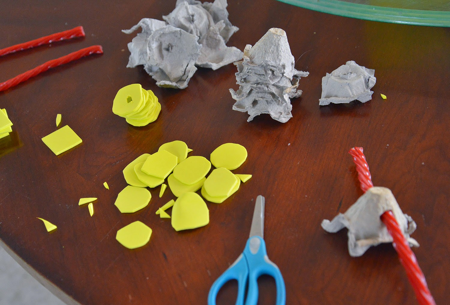 A school of fish Spinal Cord model with egg carton and licorice