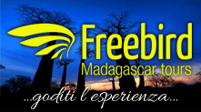 http://www.freebirdmadagascar.com/?lang=it
