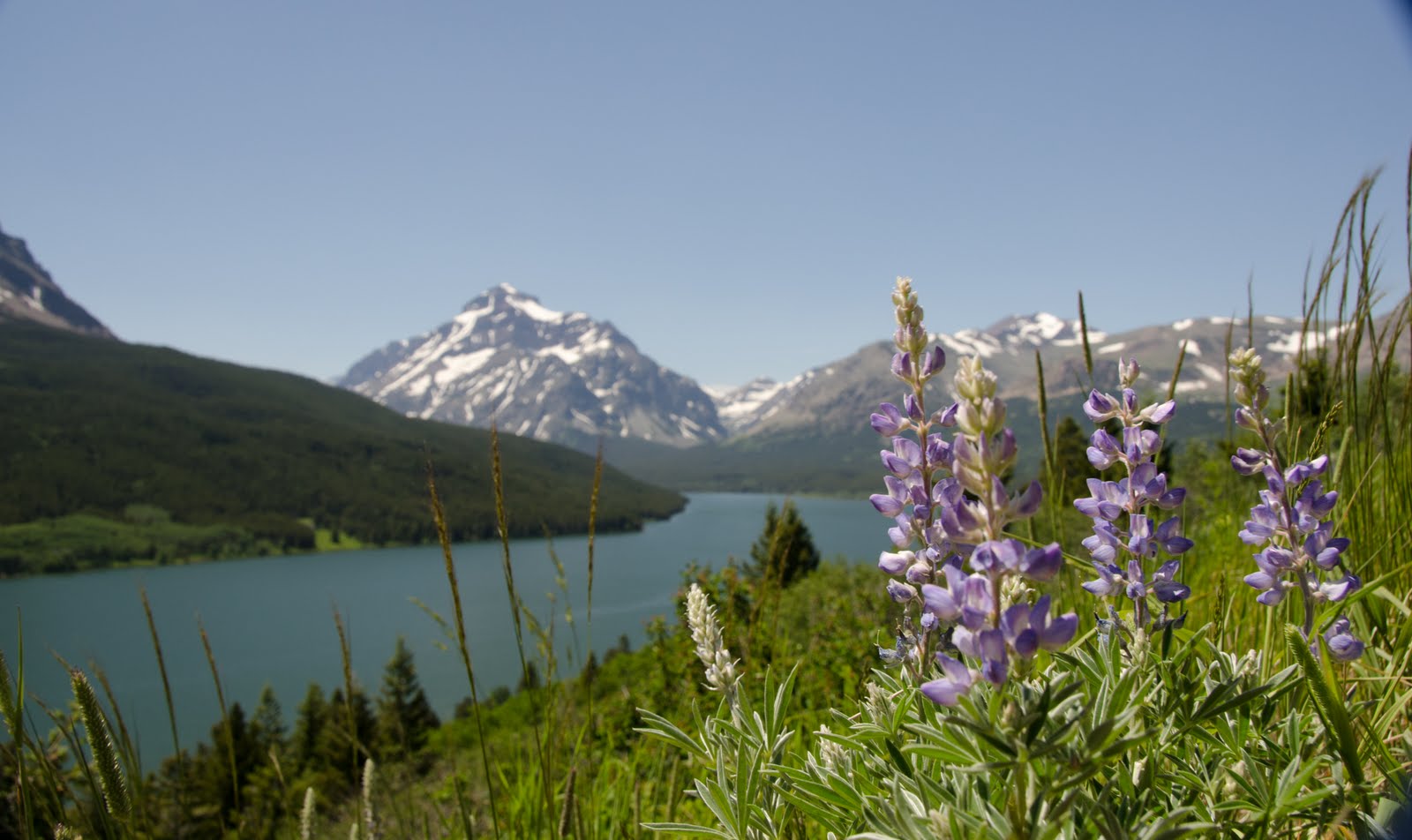 duewest2011 Glacier National Park East Entrance