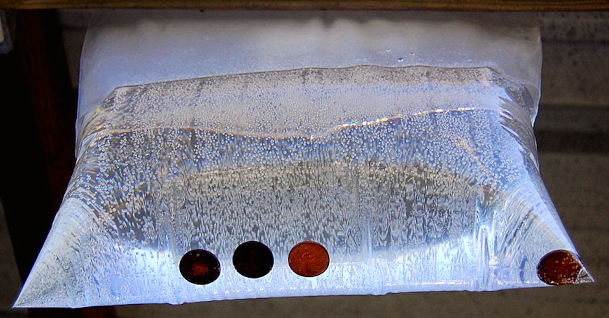 This Is How To Get Rid Of Flies In Your House