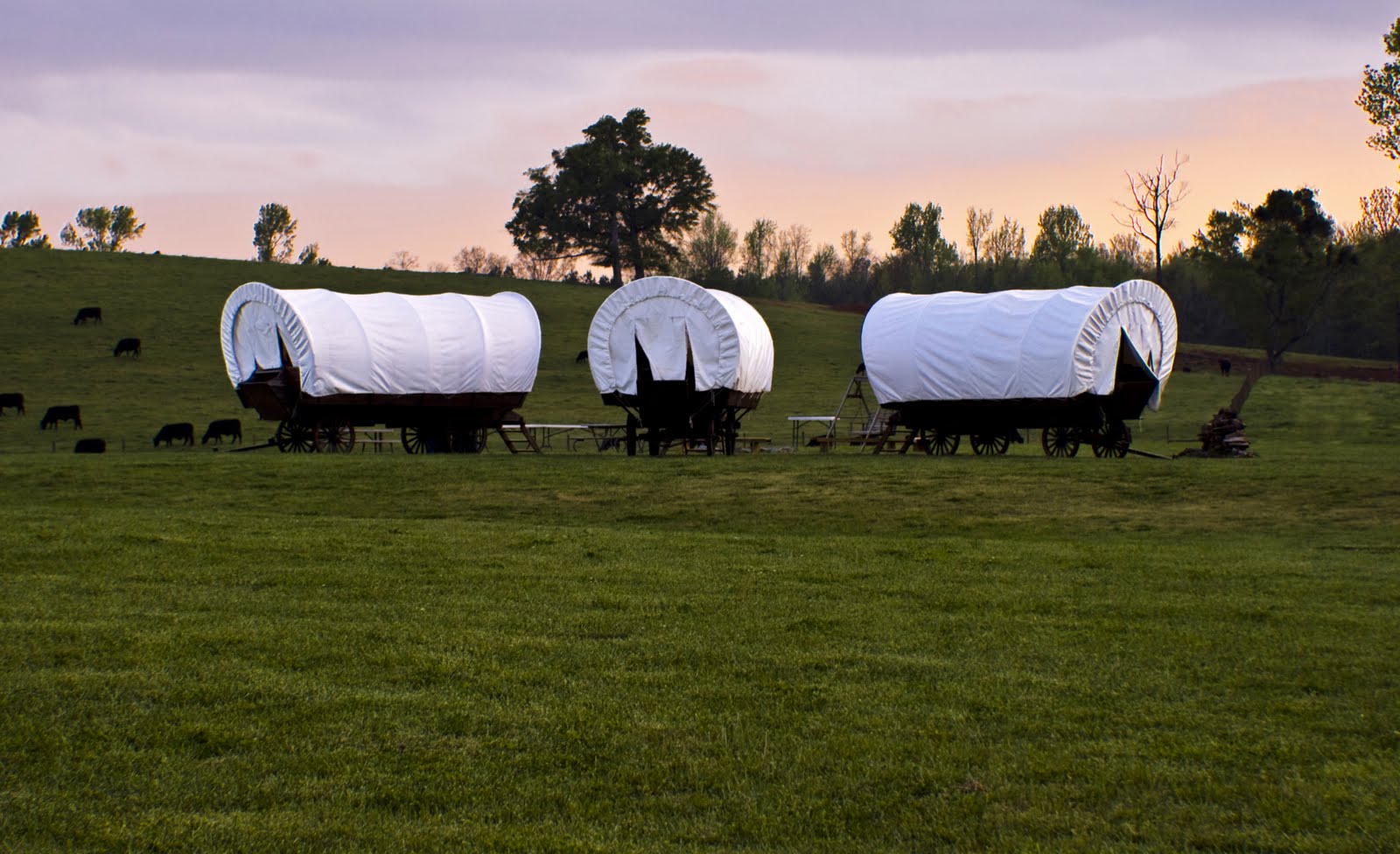 Seduced By History Manifest Destiny