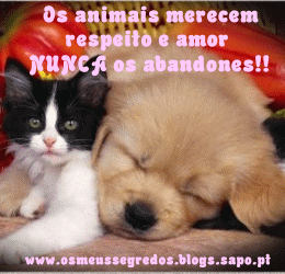 Os animais merecem respeito e amor... NUNCA os abandone!!!