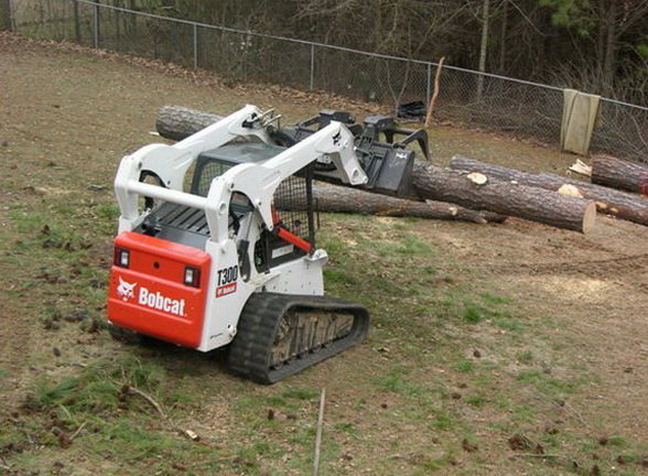 Tree Service Atlanta Tree Service