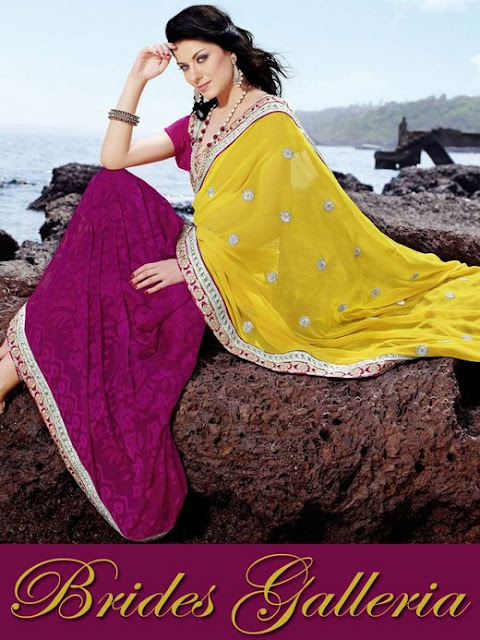 Superb Party Wear Sarees 2013 By Brides Galleria