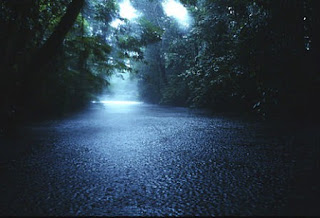 rain wallpaper beautiful weather rain wallpaper beautiful weather