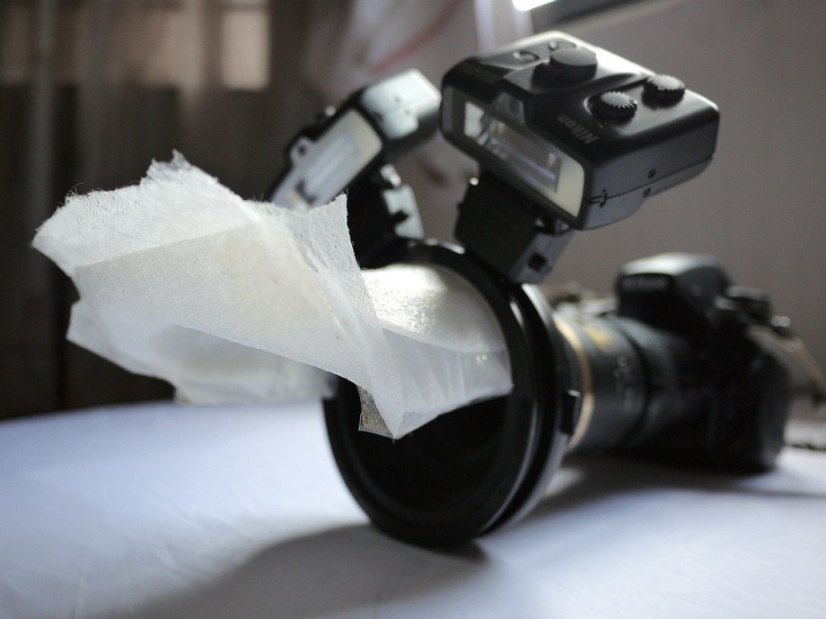 Within the Chronicles' Frame Nikon R1 Macro Flash System