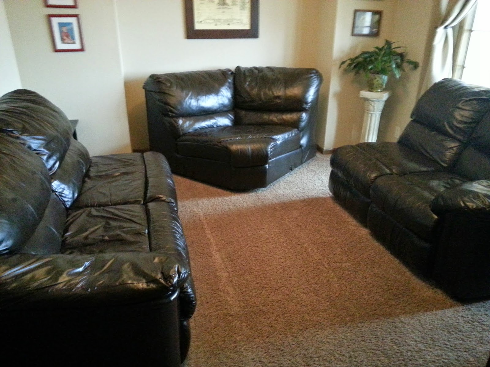 How to match the color of a leather couch The Meaning Of Color