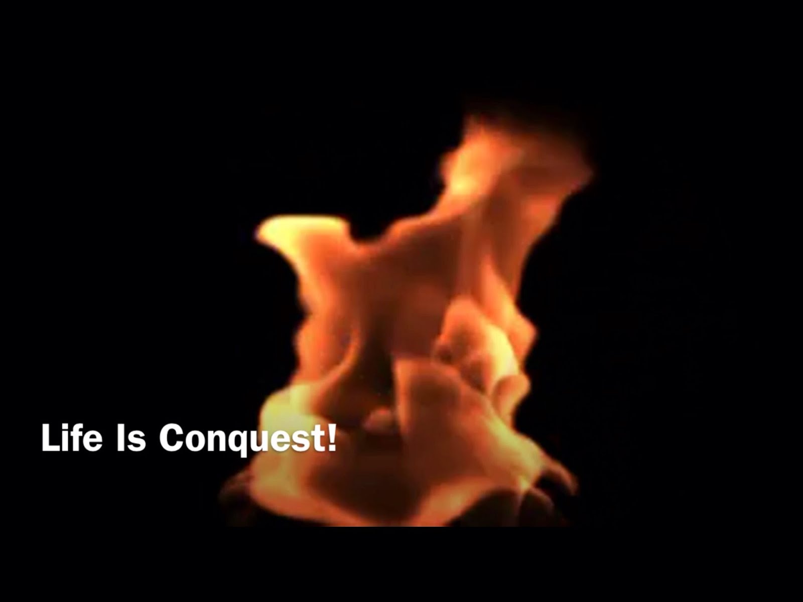Life Is Conquest! (Video)