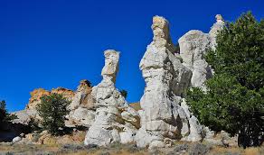 Rock Art Blog Where Barry Fell Castle Garden Wyoming