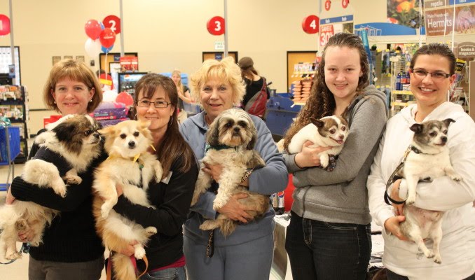 petsmart adoption image gallery petsmart adoption petsmart adoption image gallery petsmart adoption