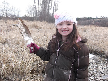 osprey feather treasure