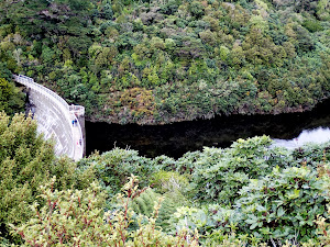 Looking over the top reservoir at Zealandia