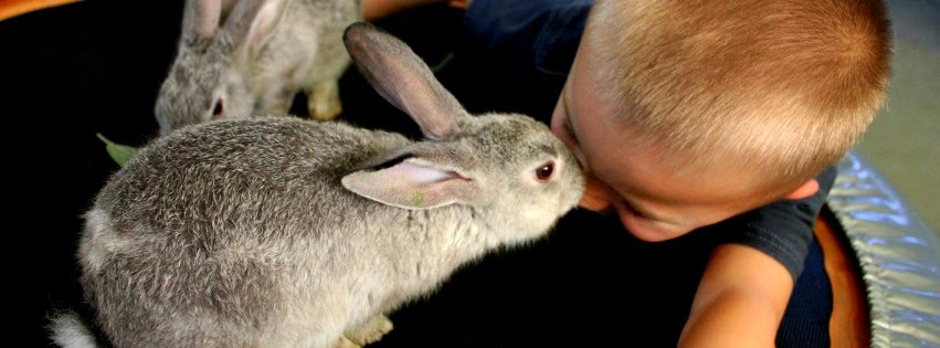 Bunny love