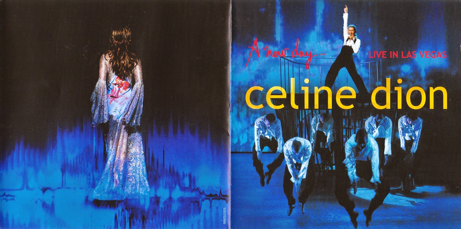 Celine Dion - A New Day Has Come at Discogs