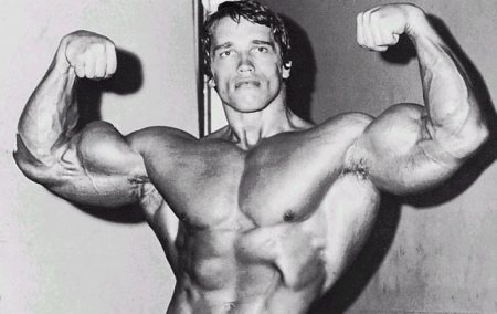 arnold schwarzenegger workout wallpapers. arnold schwarzenegger workout.