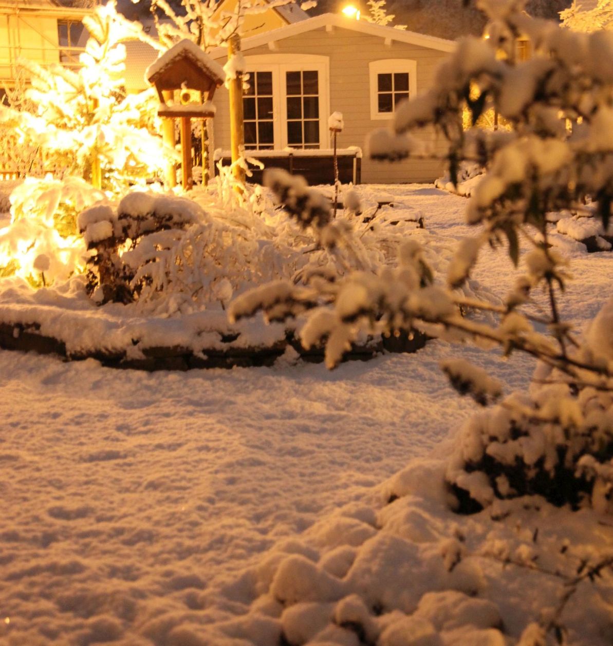 DoMis Garten Schnee im Garten bei Nacht