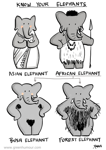 Green Humour: Know your Elephants